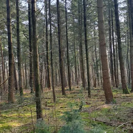 Campsite De Bosuil