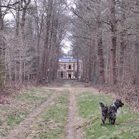 De Bosuil 캠프장 *