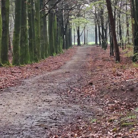 De Bosuil Putten