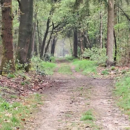 De Bosuil Putten