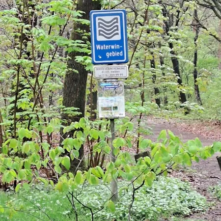 Campsite De Bosuil