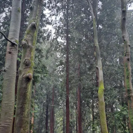 De Bosuil 캠프장 *