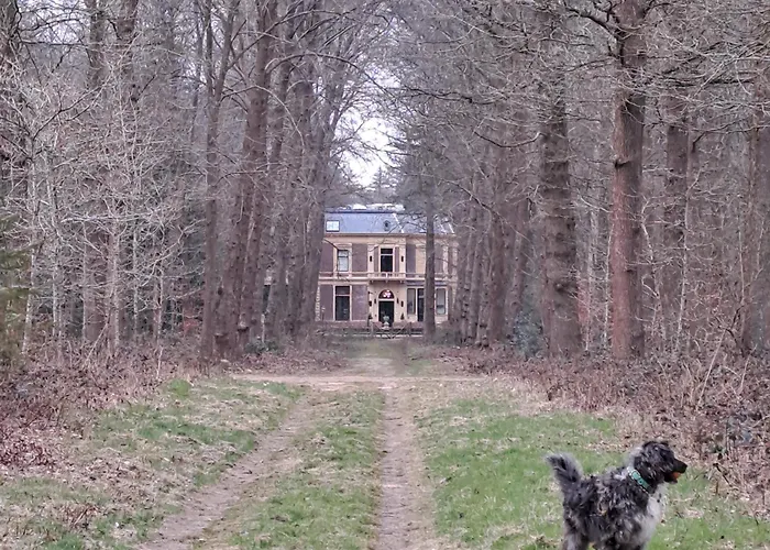 De Bosuil Campeggio *