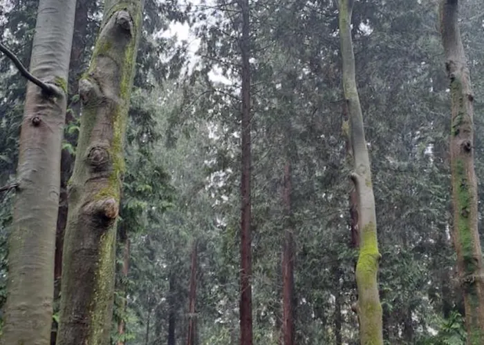 De Bosuil Campeggio *