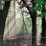 De Bosuil Putten